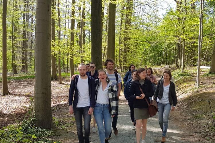 Teambuilding Hallerbos