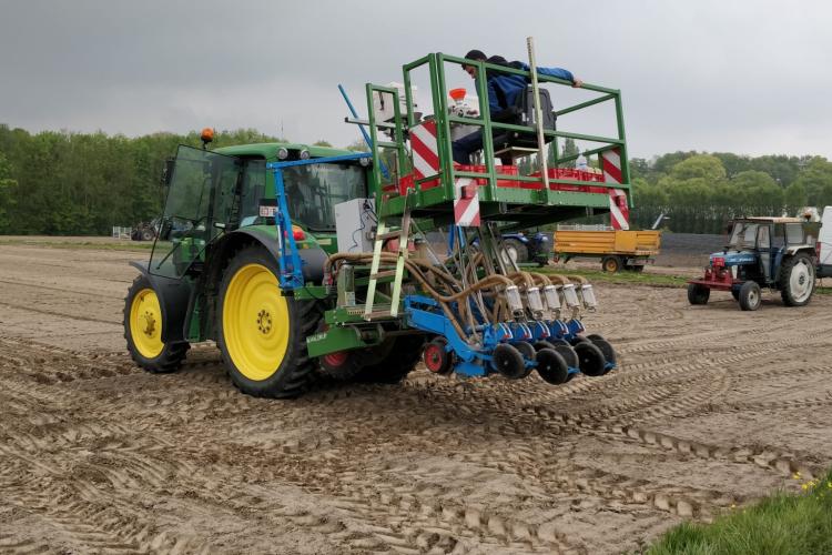 Testing of the rhizobia strains in the field